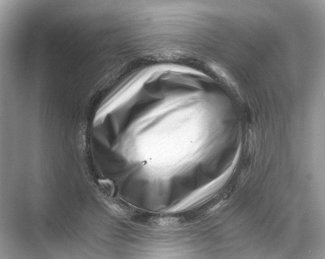 X0000073860501200608312030