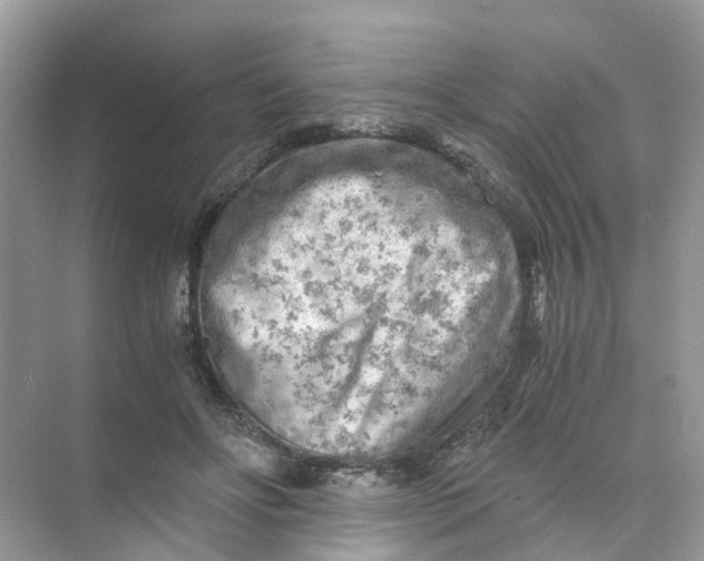 X0000073860502200608312030