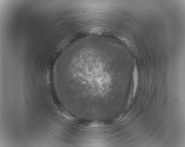 X0000073860504200608312030