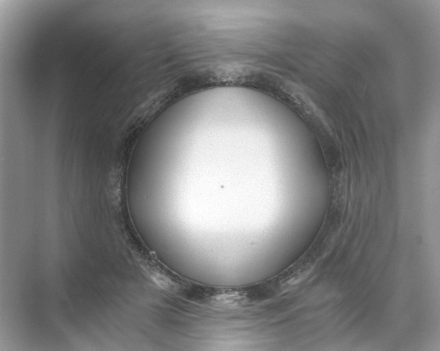 X0000073860505200608312030