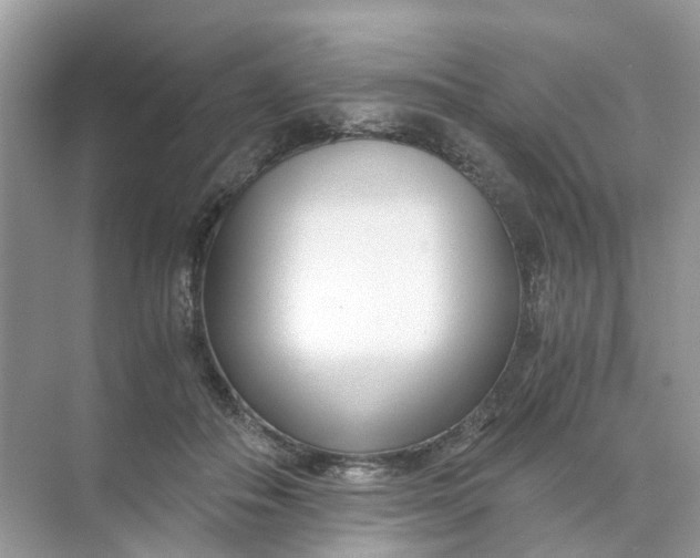 X0000073860506200608312030