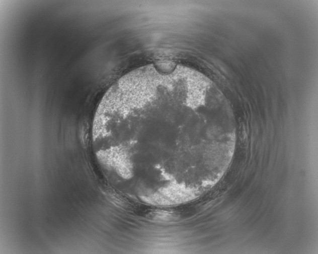 X0000073860507200608312030