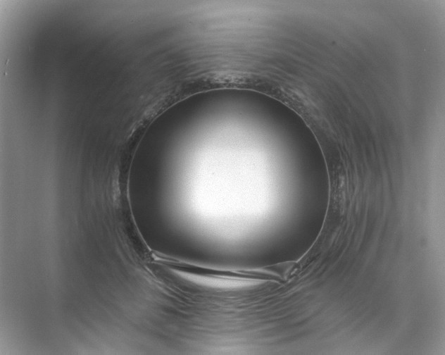 X0000073860508200608312030