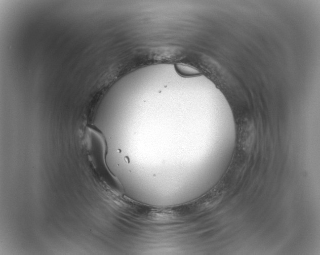 X0000073860510200608312030