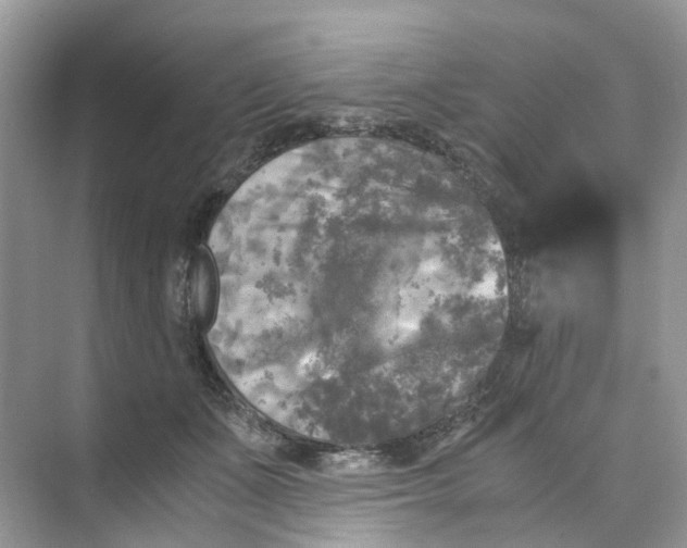 X0000073860511200608312030