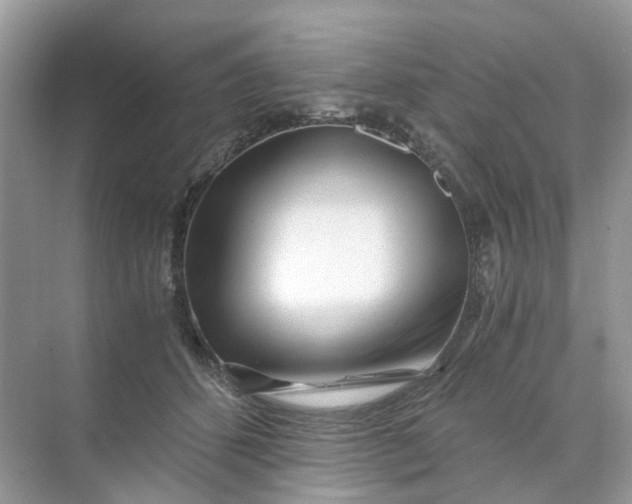 X0000073860512200608312030