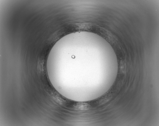 X0000073860514200608312030