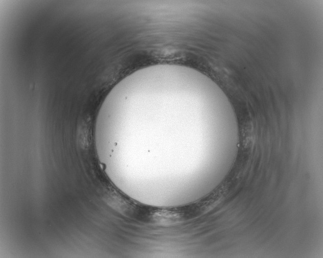 X0000073860515200608312030