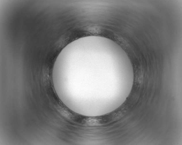 X0000073860518200608312030