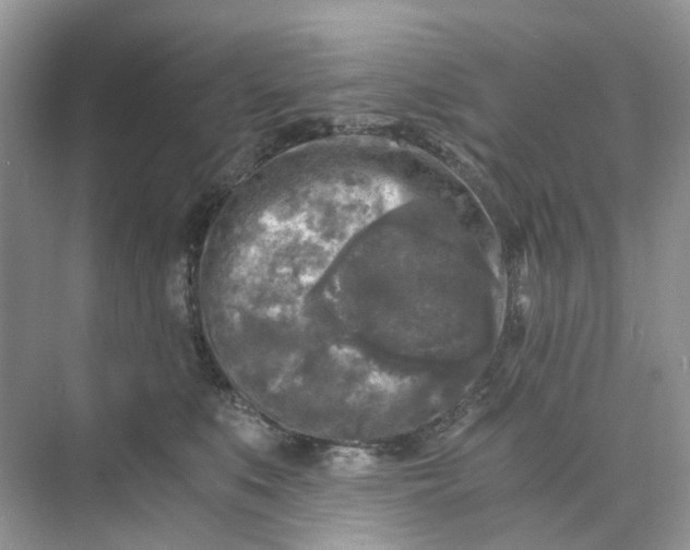 X0000073860519200608312030