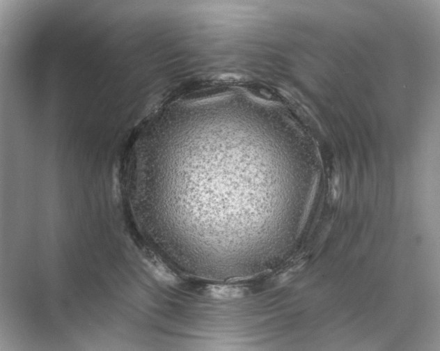 X0000073860520200608312030