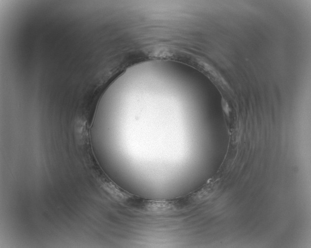 X0000073860521200608312030