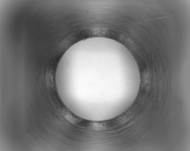 X0000073860522200608312030