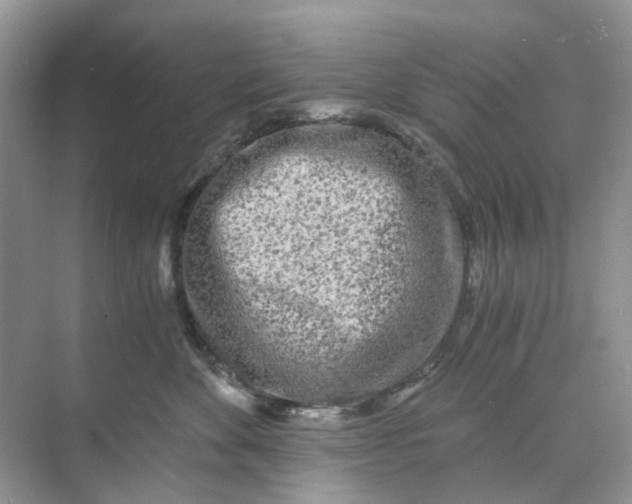 X0000073860524200608312030