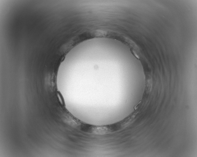 X0000073860525200608312030