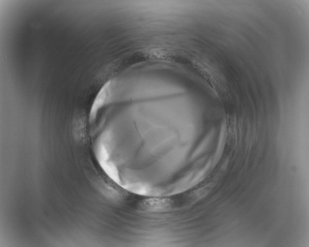 X0000073860526200608312030