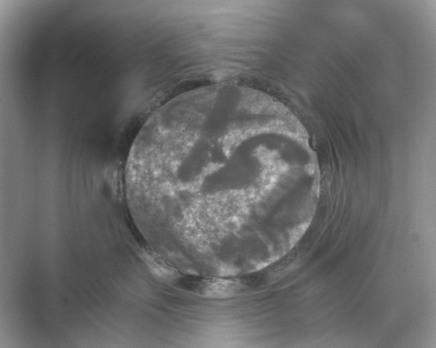 X0000073860527200608312030