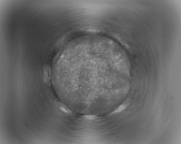 X0000073860528200608312030