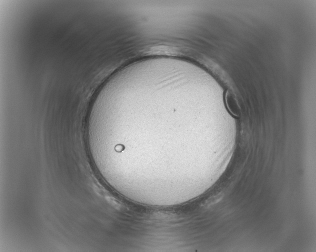 X0000073860529200608312029