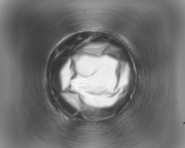 X0000073860532200608312029