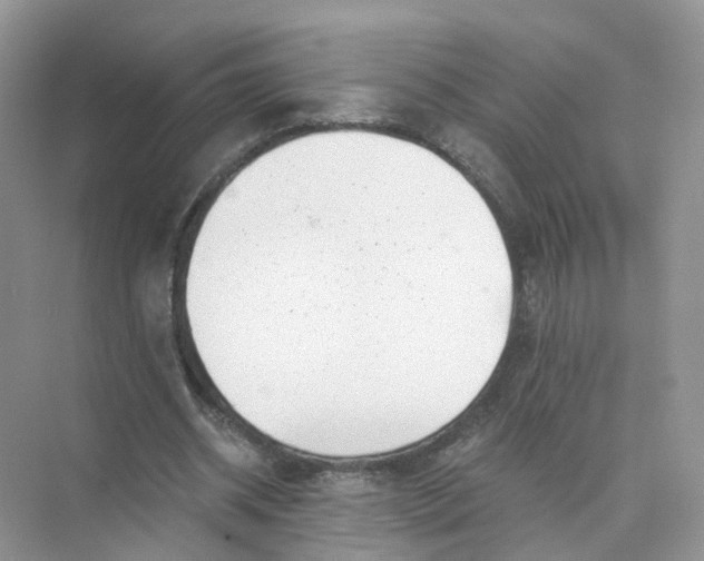 X0000073860534200608312029