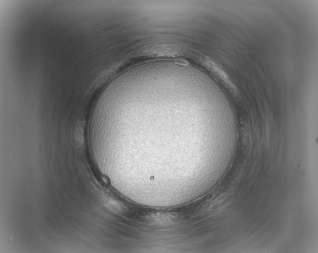 X0000073860537200608312029