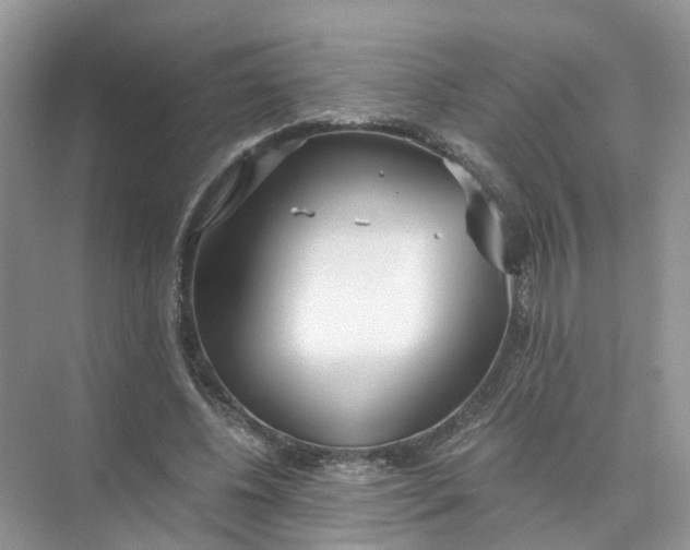 X0000073860540200608312029