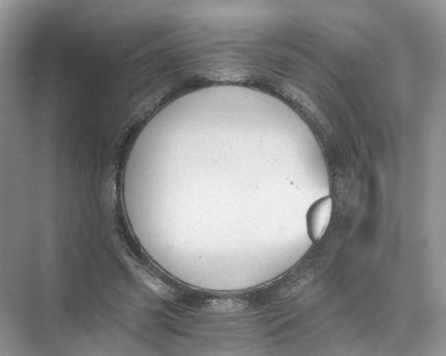 X0000073860541200608312029