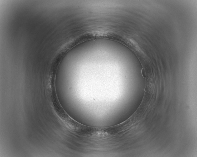 X0000073860543200608312029