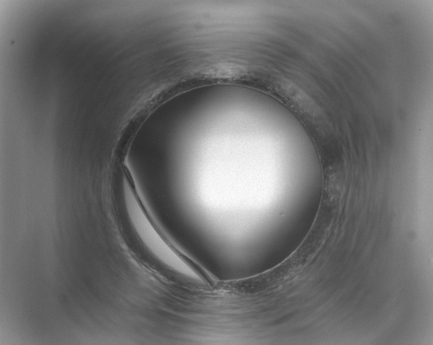 X0000073860544200608312029