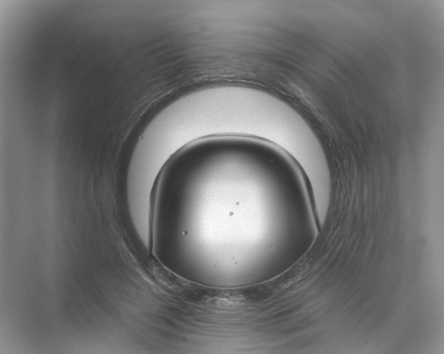 X0000073860548200608312029