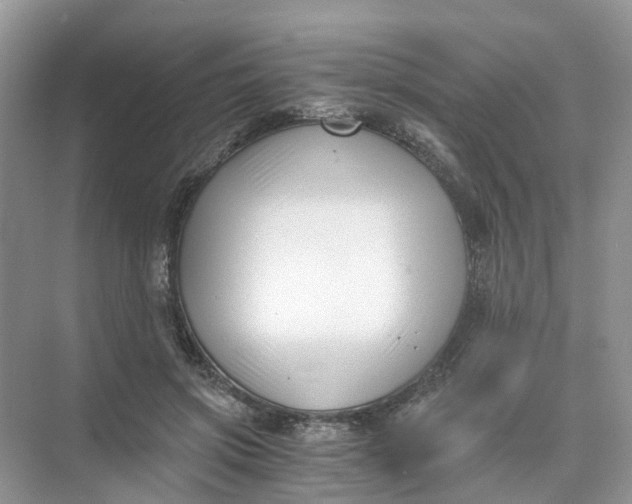 X0000073860549200608312029