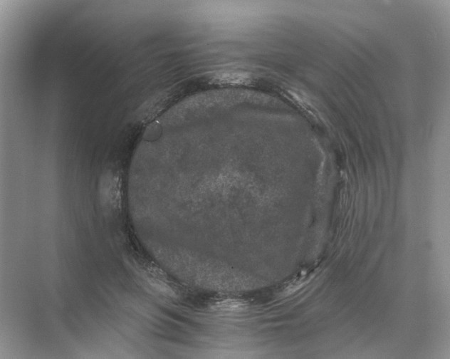 X0000073860551200608312029