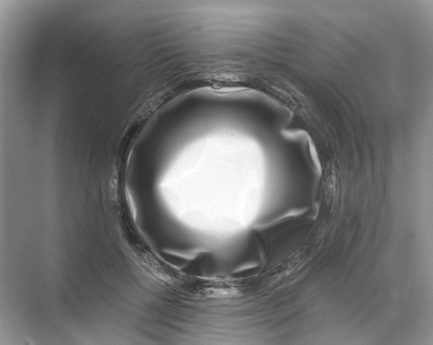 X0000073860552200608312029