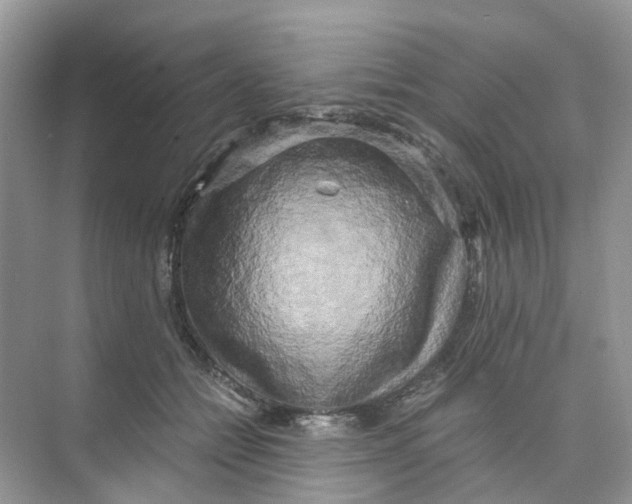 X0000073860558200608312029