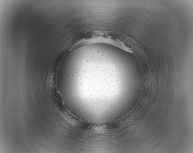 X0000073860560200608312029