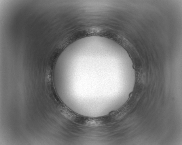 X0000073860561200608312029