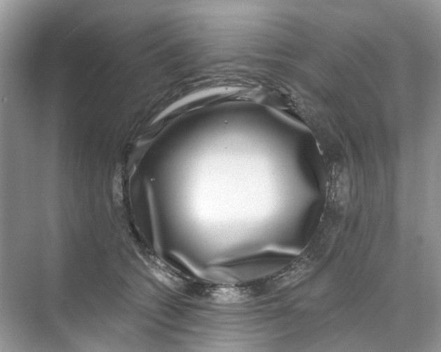 X0000073860562200608312029