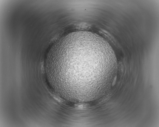 X0000073860564200608312029