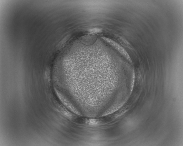 X0000073860565200608312029