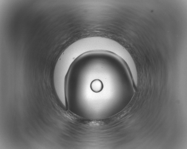 X0000073860566200608312029