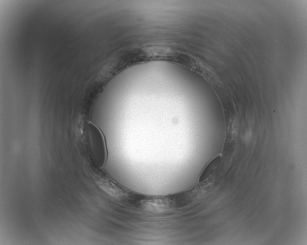 X0000073860567200608312029