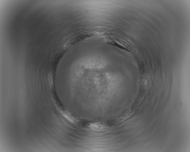 X0000073860568200608312030