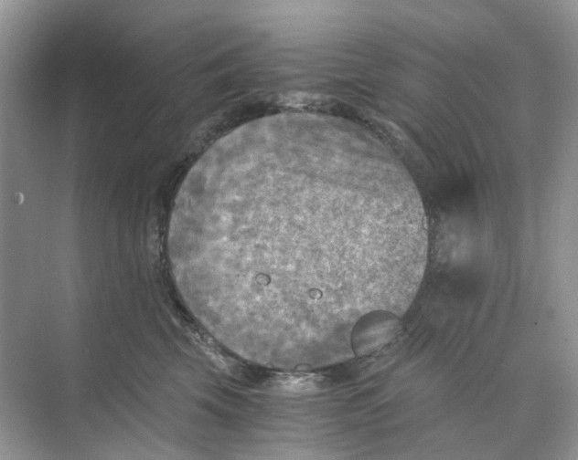 X0000073860569200608312030