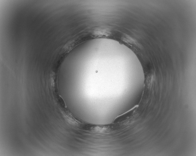 X0000073860570200608312030