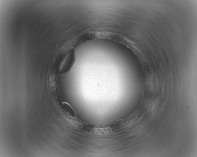 X0000073860571200608312030