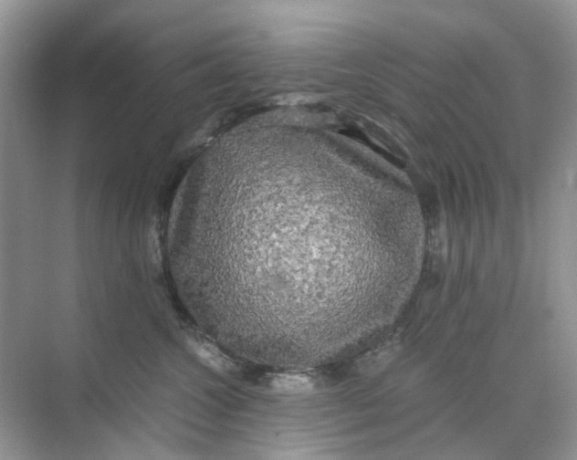 X0000073860572200608312030