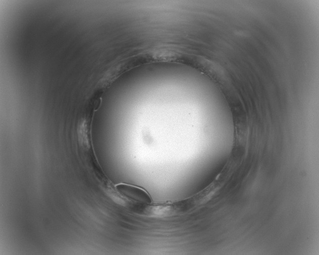 X0000073860575200608312030