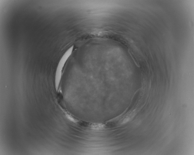 X0000073860576200608312030