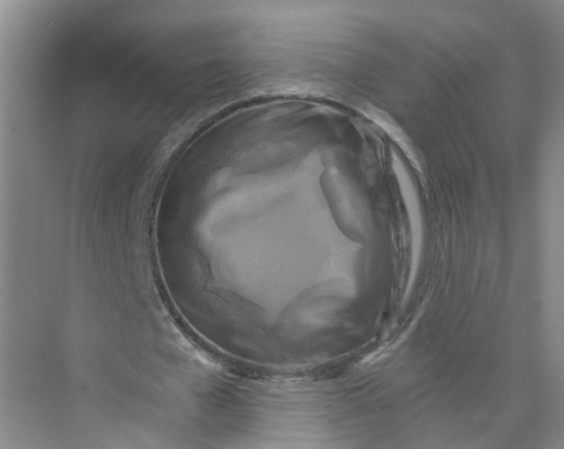 X0000073860577200608312029